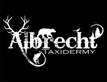Albrecht Taxidermy | Beloit Taxidermy | Janesville Taxidermy